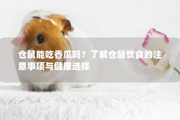 仓鼠能吃香瓜吗？了解仓鼠饮食的注意事项与健康选择