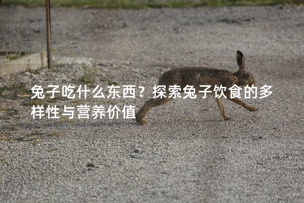兔子吃什么东西？探索兔子饮食的多样性与营养价值