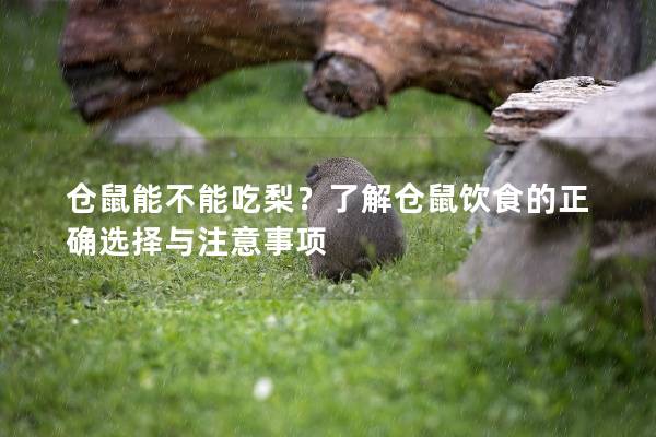 仓鼠能不能吃梨？了解仓鼠饮食的正确选择与注意事项