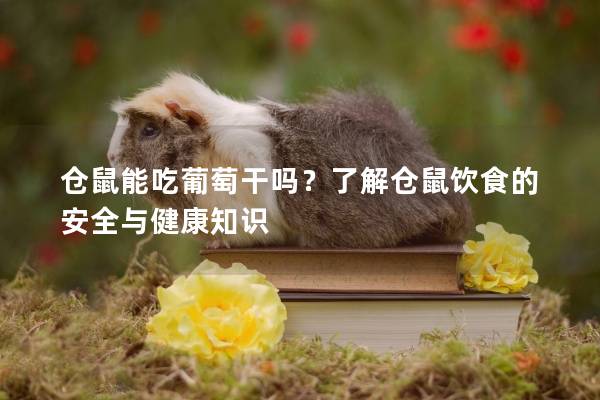 仓鼠能吃葡萄干吗？了解仓鼠饮食的安全与健康知识
