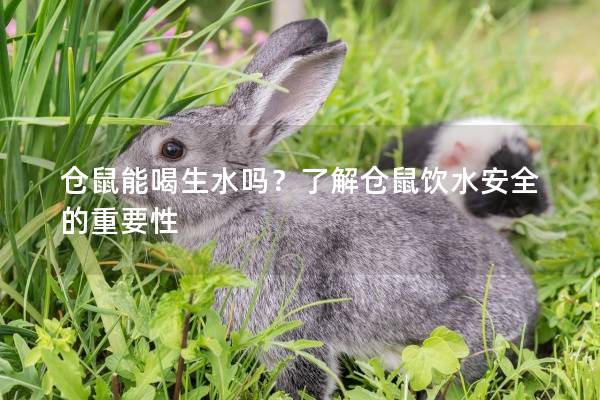 仓鼠能喝生水吗？了解仓鼠饮水安全的重要性
