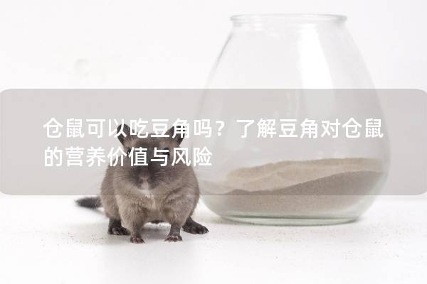 仓鼠可以吃豆角吗？了解豆角对仓鼠的营养价值与风险