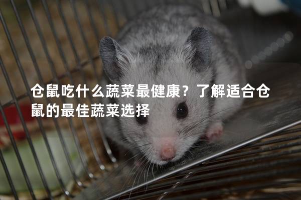 仓鼠吃什么蔬菜最健康？了解适合仓鼠的最佳蔬菜选择