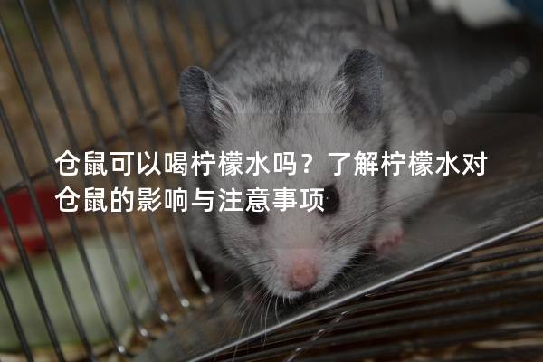 仓鼠可以喝柠檬水吗？了解柠檬水对仓鼠的影响与注意事项