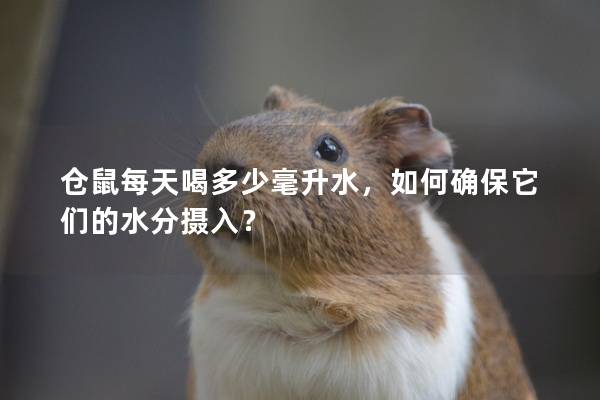 仓鼠每天喝多少毫升水，如何确保它们的水分摄入？