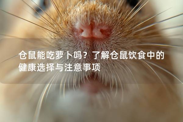 仓鼠能吃萝卜吗？了解仓鼠饮食中的健康选择与注意事项