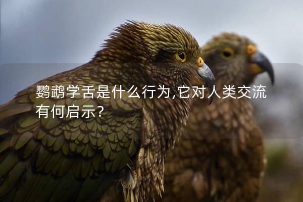 鹦鹉学舌是什么行为,它对人类交流有何启示？