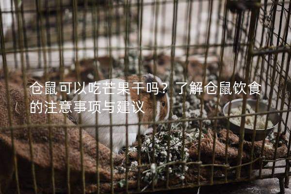 仓鼠可以吃芒果干吗？了解仓鼠饮食的注意事项与建议
