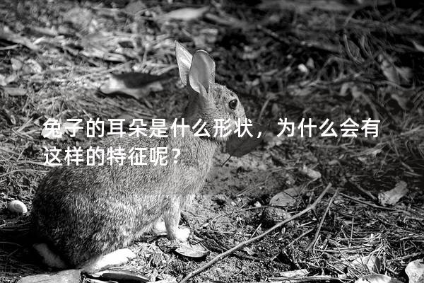 兔子的耳朵是什么形状，为什么会有这样的特征呢？