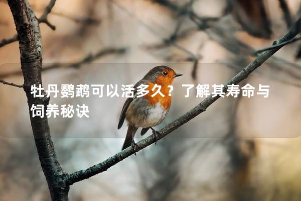 牡丹鹦鹉可以活多久？了解其寿命与饲养秘诀