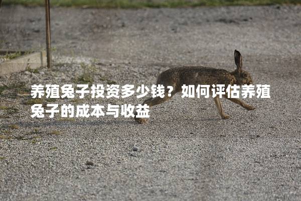 养殖兔子投资多少钱？如何评估养殖兔子的成本与收益