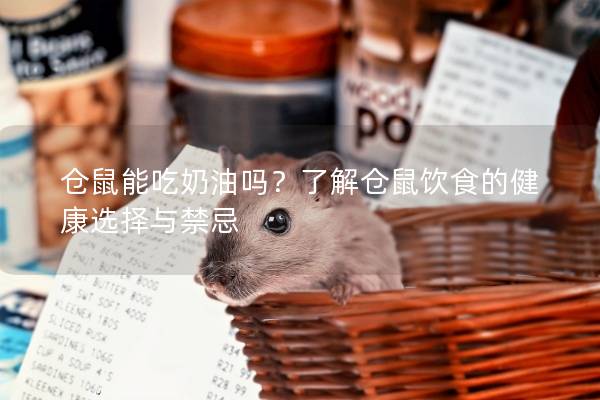 仓鼠能吃奶油吗？了解仓鼠饮食的健康选择与禁忌