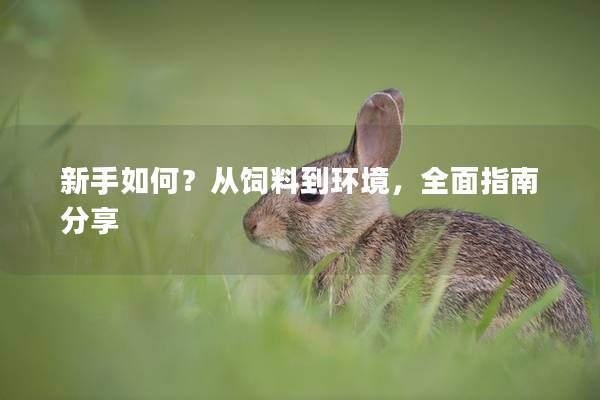 新手如何？从饲料到环境，全面指南分享