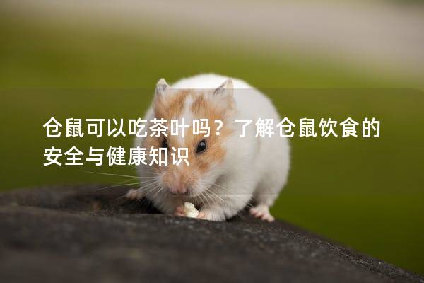 仓鼠可以吃茶叶吗？了解仓鼠饮食的安全与健康知识