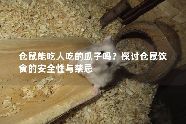 仓鼠能吃人吃的瓜子吗？探讨仓鼠饮食的安全性与禁忌