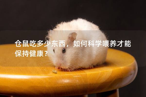 仓鼠吃多少东西，如何科学喂养才能保持健康？