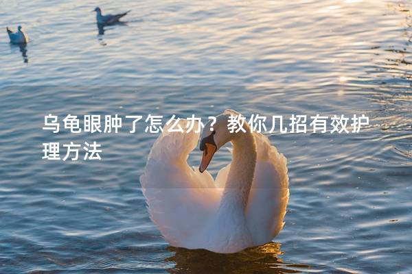 乌龟眼肿了怎么办？教你几招有效护理方法