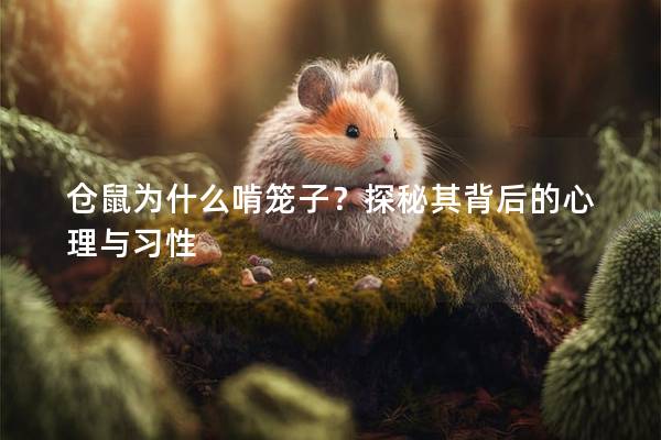 仓鼠为什么啃笼子？探秘其背后的心理与习性