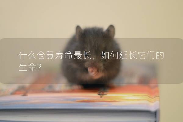 什么仓鼠寿命最长，如何延长它们的生命？
