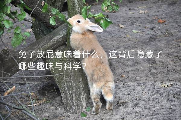 兔子放屁意味着什么，这背后隐藏了哪些趣味与科学？