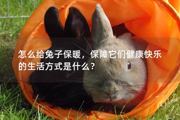 怎么给兔子保暖，保障它们健康快乐的生活方式是什么？