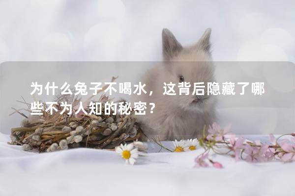 为什么兔子不喝水，这背后隐藏了哪些不为人知的秘密？