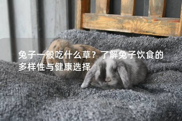 兔子一般吃什么草？了解兔子饮食的多样性与健康选择