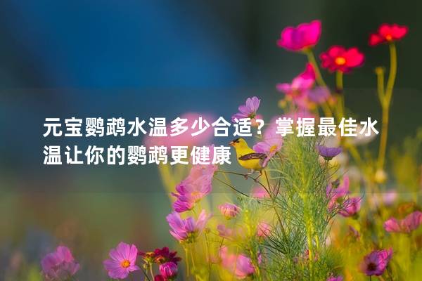 元宝鹦鹉水温多少合适？掌握最佳水温让你的鹦鹉更健康