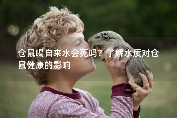 仓鼠喝自来水会死吗？了解水质对仓鼠健康的影响