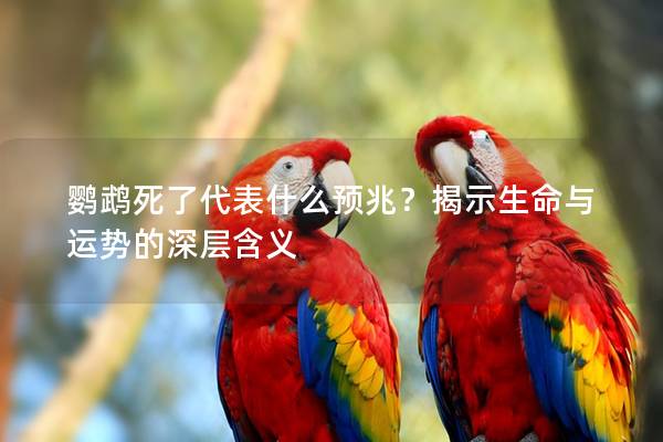 鹦鹉死了代表什么预兆？揭示生命与运势的深层含义