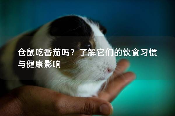 仓鼠吃番茄吗？了解它们的饮食习惯与健康影响