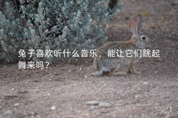 兔子喜欢听什么音乐，能让它们跳起舞来吗？