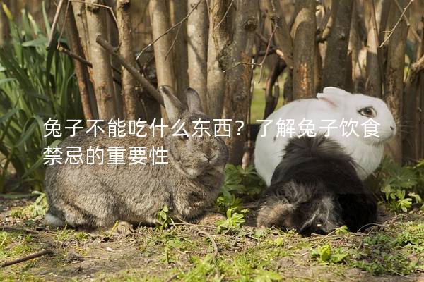 兔子不能吃什么东西？了解兔子饮食禁忌的重要性