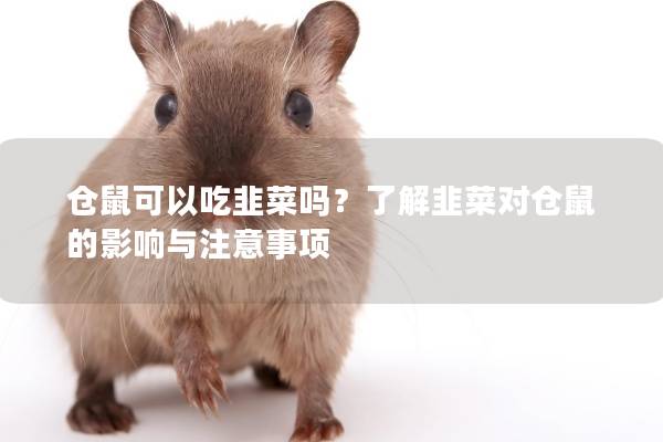 仓鼠可以吃韭菜吗？了解韭菜对仓鼠的影响与注意事项