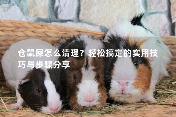 仓鼠屎怎么清理？轻松搞定的实用技巧与步骤分享