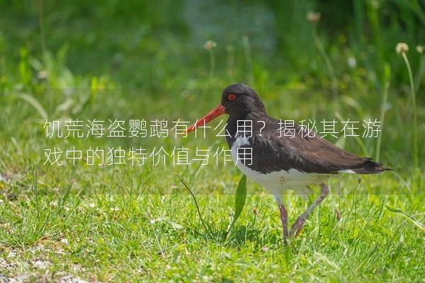 饥荒海盗鹦鹉有什么用？揭秘其在游戏中的独特价值与作用