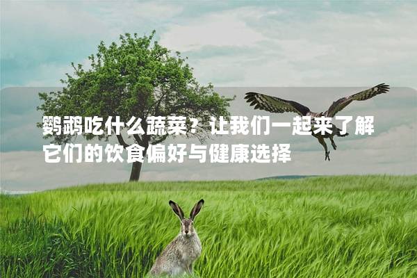 鹦鹉吃什么蔬菜？让我们一起来了解它们的饮食偏好与健康选择