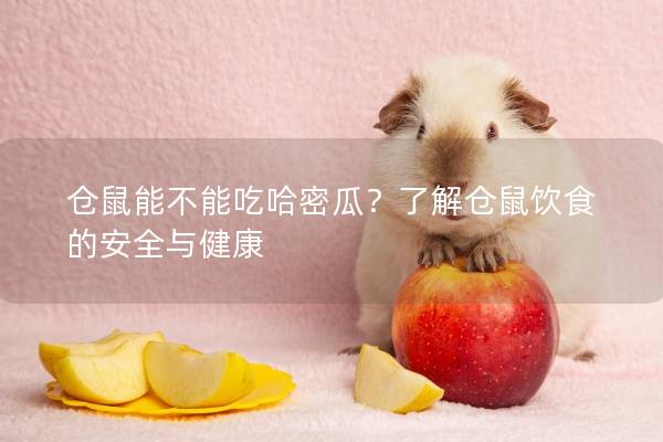 仓鼠能不能吃哈密瓜？了解仓鼠饮食的安全与健康