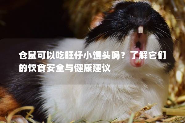 仓鼠可以吃旺仔小馒头吗？了解它们的饮食安全与健康建议