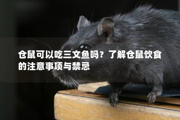 仓鼠可以吃三文鱼吗？了解仓鼠饮食的注意事项与禁忌