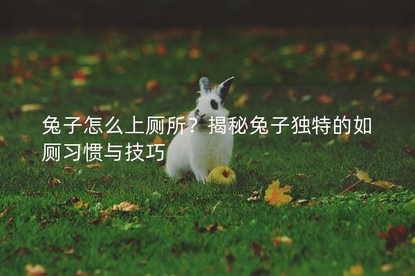 兔子怎么上厕所？揭秘兔子独特的如厕习惯与技巧