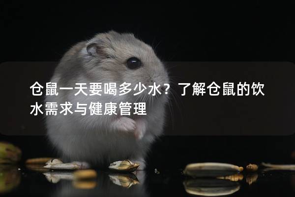 仓鼠一天要喝多少水？了解仓鼠的饮水需求与健康管理