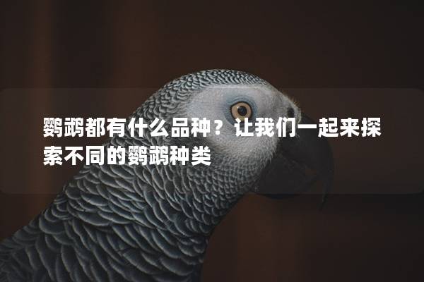 鹦鹉都有什么品种？让我们一起来探索不同的鹦鹉种类