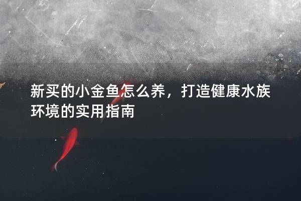 新买的小金鱼怎么养，打造健康水族环境的实用指南
