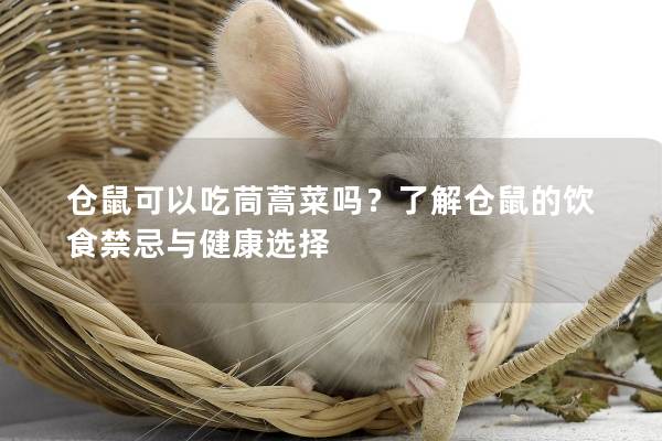 仓鼠可以吃茼蒿菜吗？了解仓鼠的饮食禁忌与健康选择