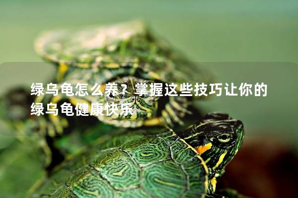 绿乌龟怎么养？掌握这些技巧让你的绿乌龟健康快乐