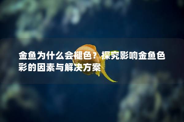 金鱼为什么会褪色？探究影响金鱼色彩的因素与解决方案