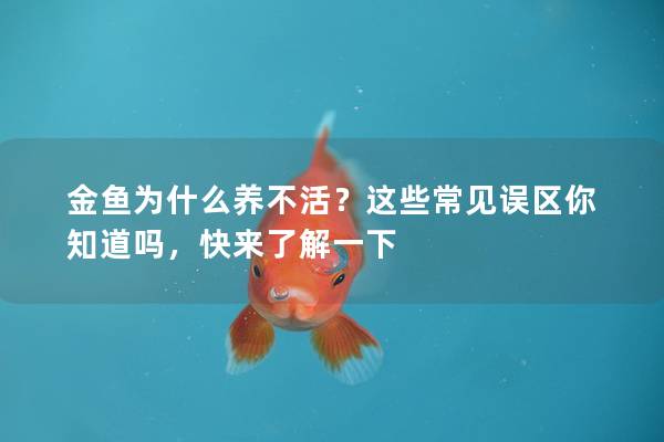 金鱼为什么养不活？这些常见误区你知道吗，快来了解一下