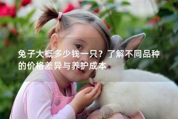 兔子大概多少钱一只？了解不同品种的价格差异与养护成本