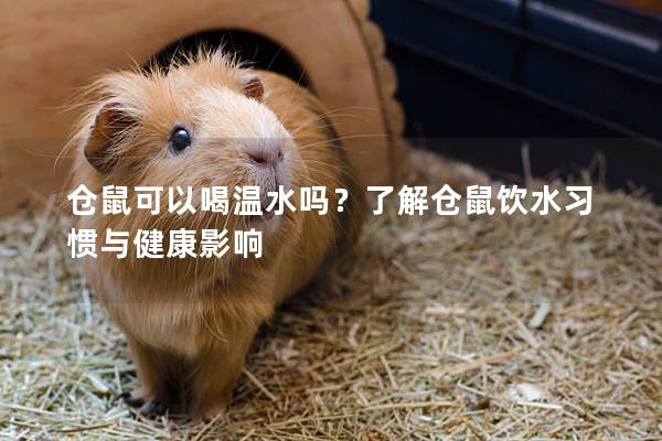 仓鼠可以喝温水吗？了解仓鼠饮水习惯与健康影响